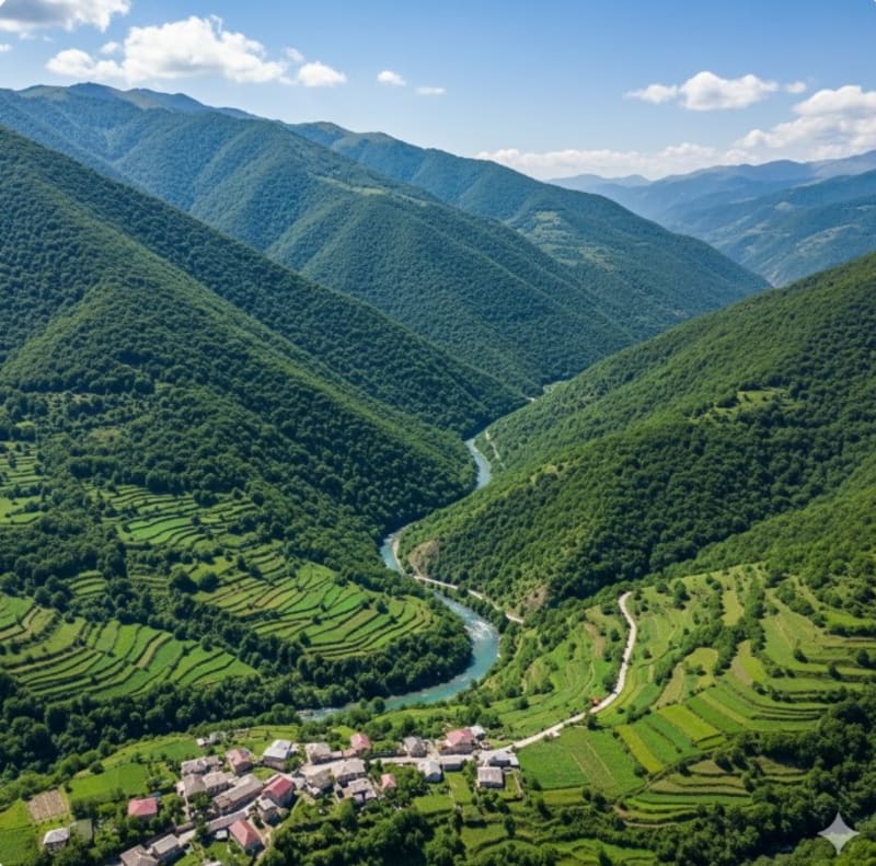 Screenshot 2025-12-26 005333.jpg