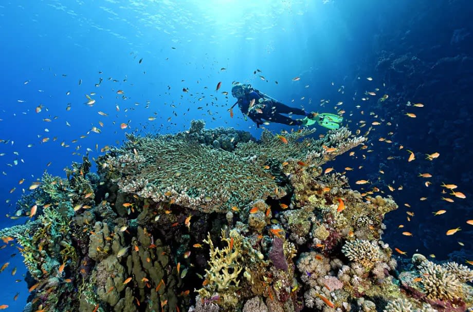 برنامج 5 أيام في شرم الشيخ مصر