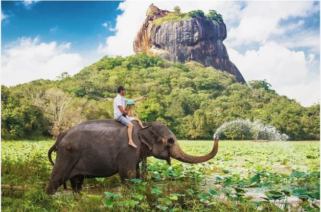 Screenshot 2025-12-16 031200.jpg