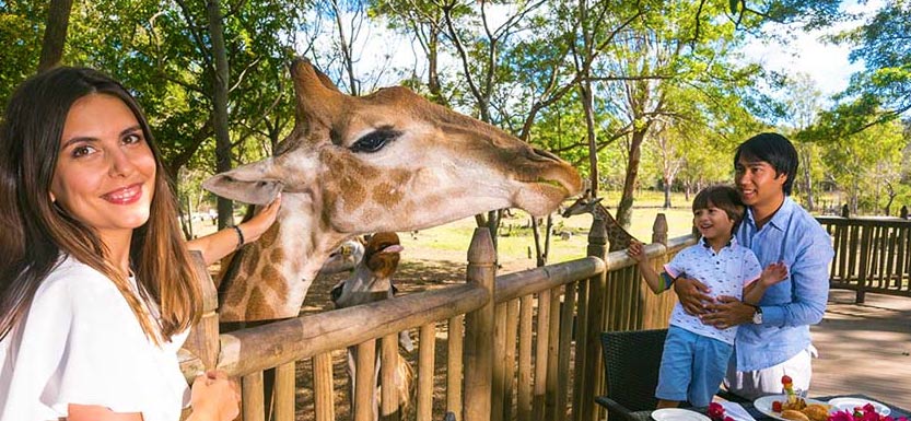 منتزه كاسيلا -موريشيوس