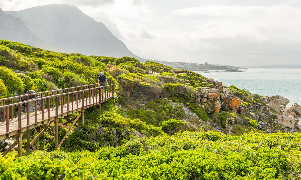 هيرمانوس- جنوب أفريقيا