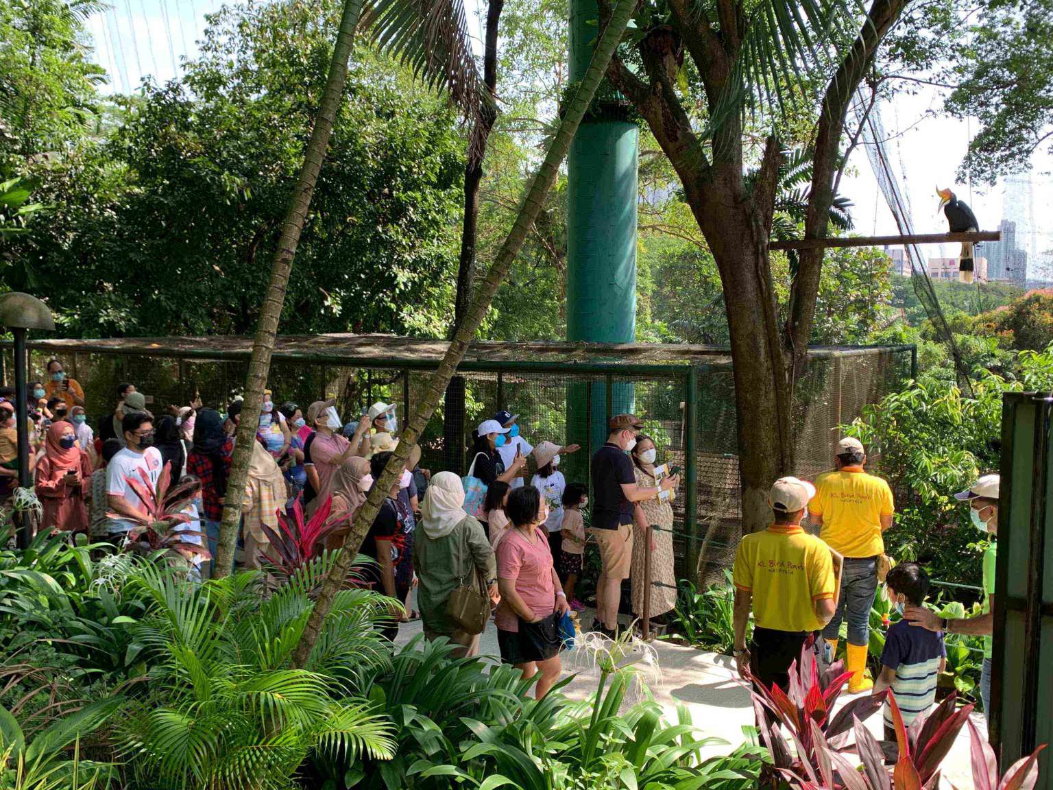 طيور استوائية في حديقة الطيور - كوالالمبور