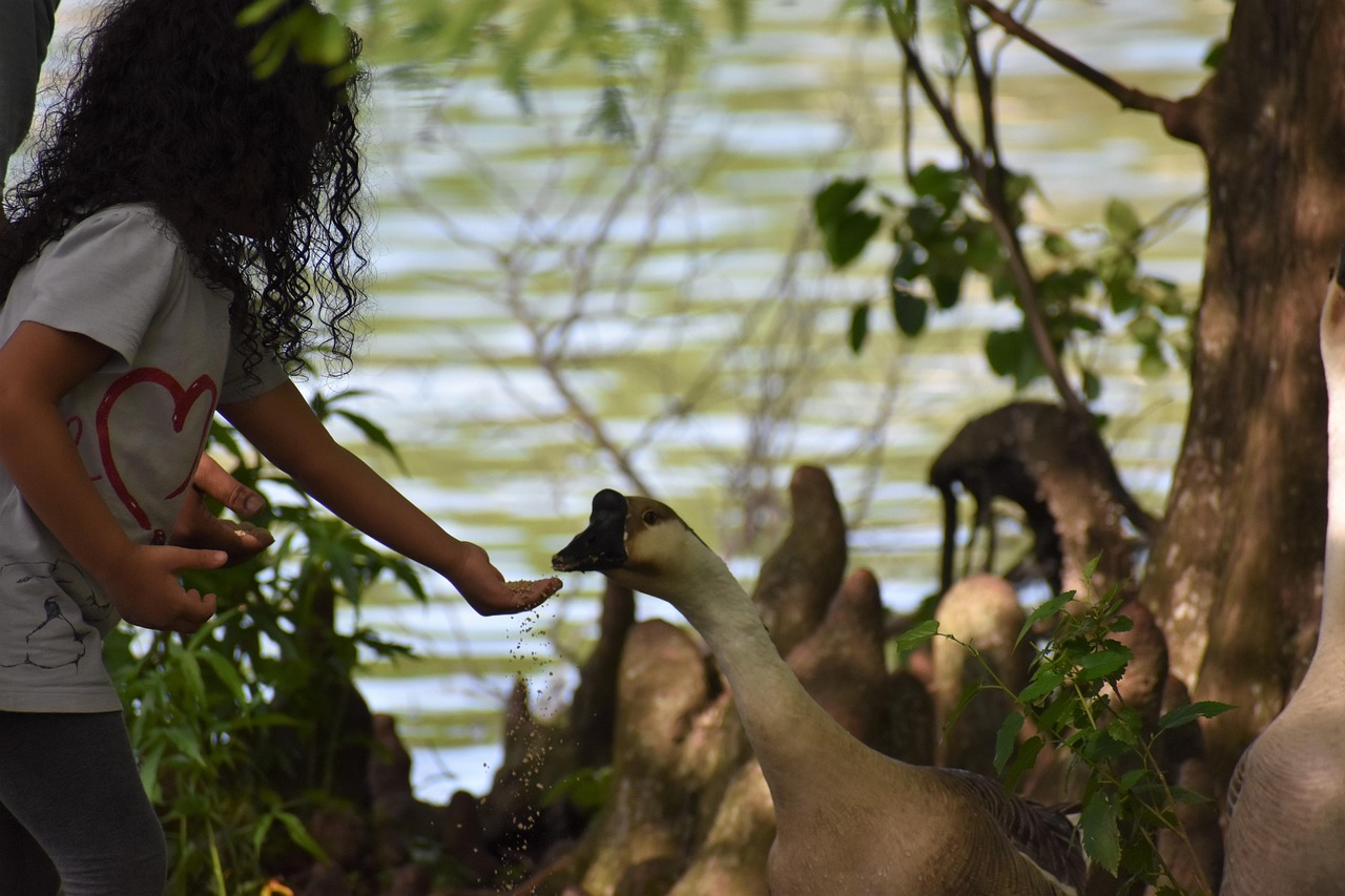 kids feeding birds of kuala lumpur botanical gardens0.jpg