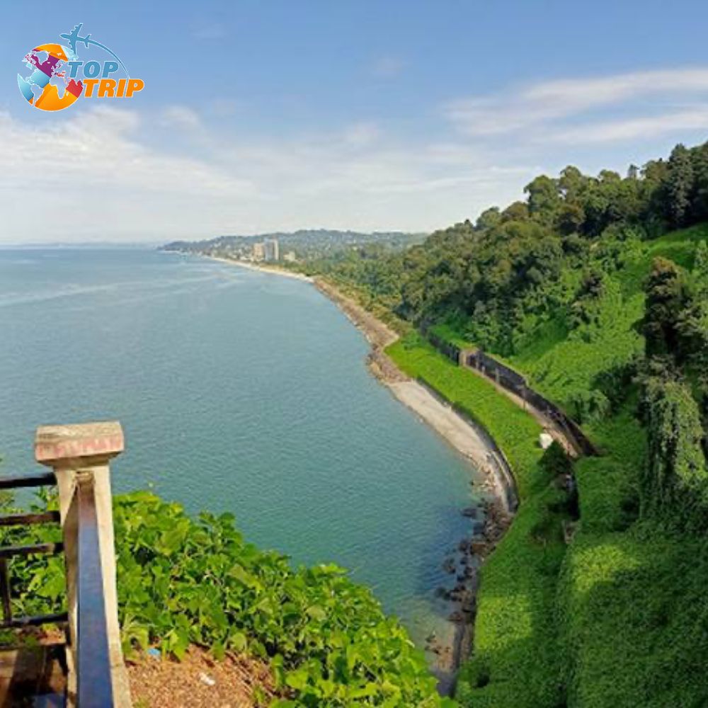 شهر العسل في جورجيا 2026