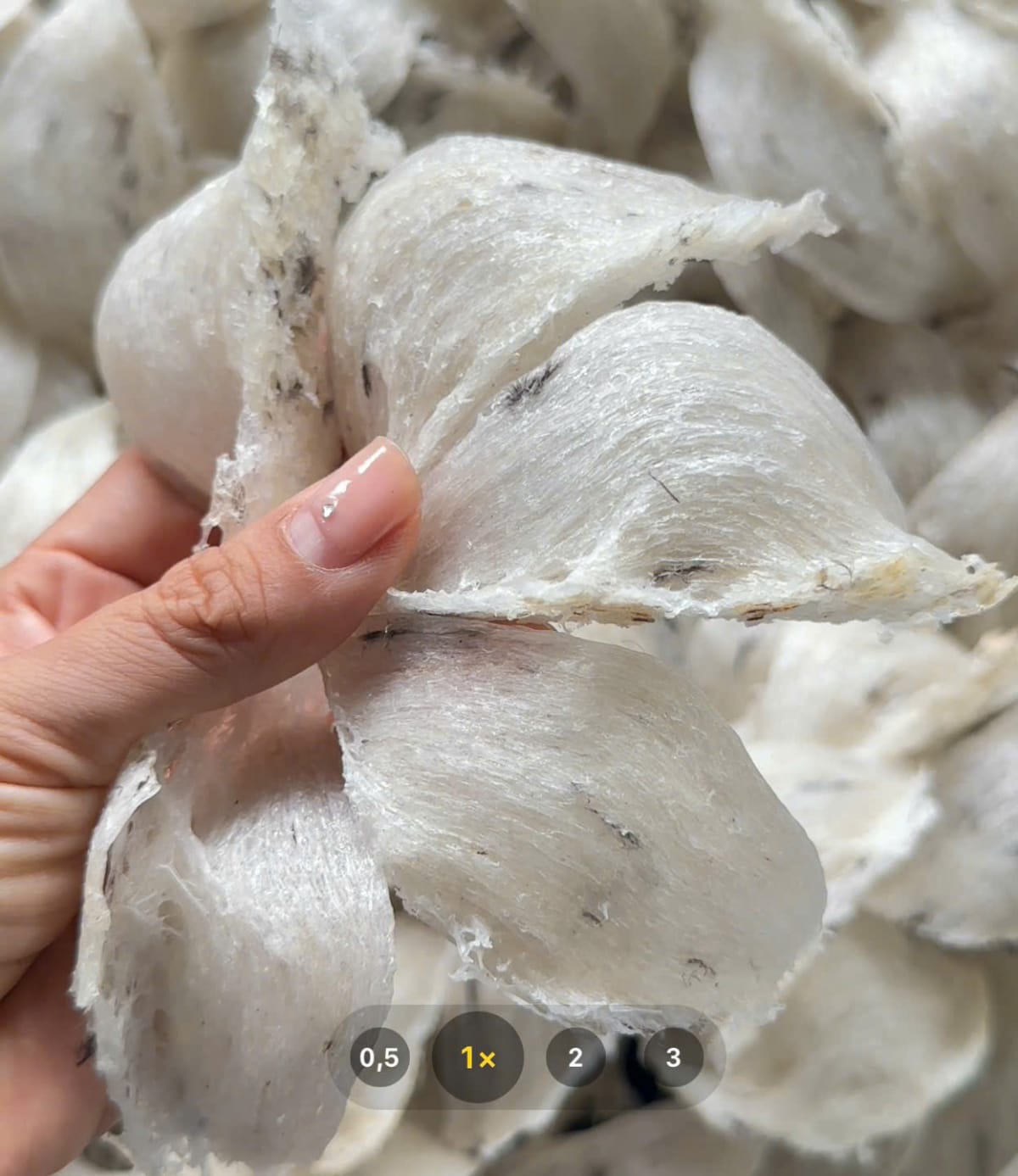 Yến thô 100g - 2