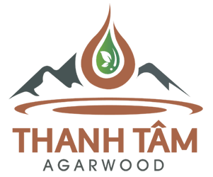Phạm Minh Tâm