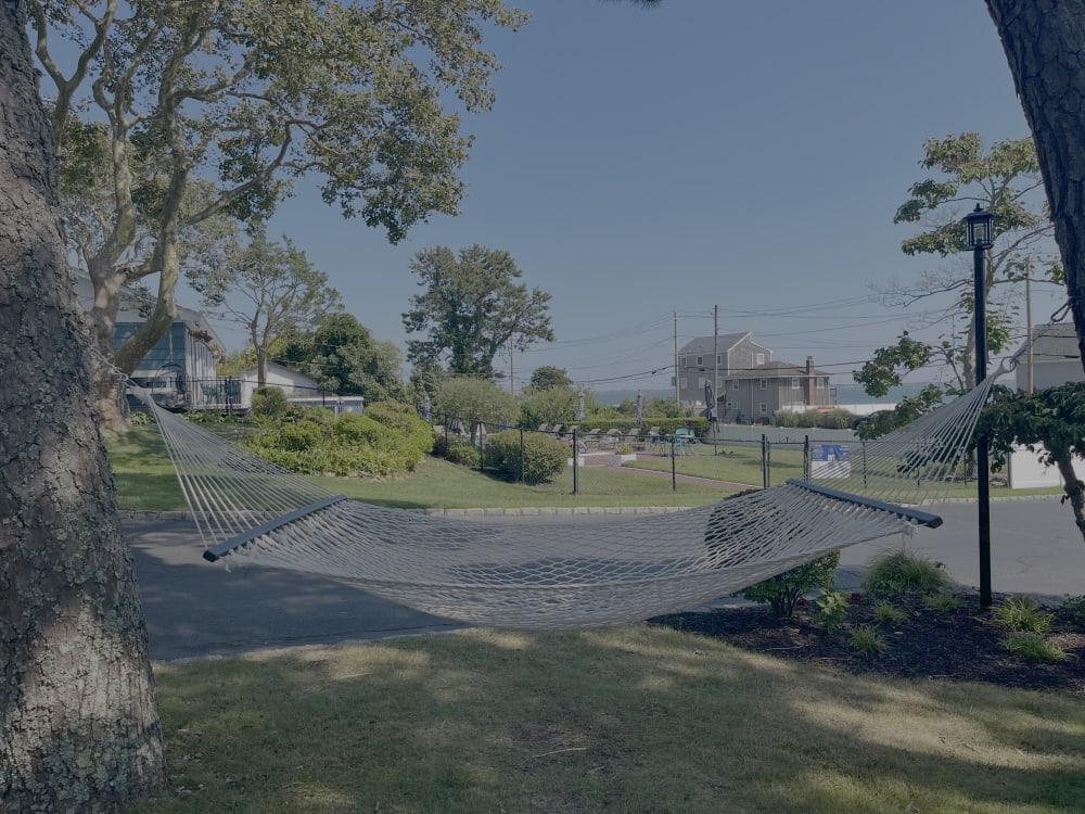 A hammock strung on the grounds of the Ocean View Terrace Inn, a Boutel sitting directly across from the bay, capturing the shared outdoor life at the heart of the Boutel standard