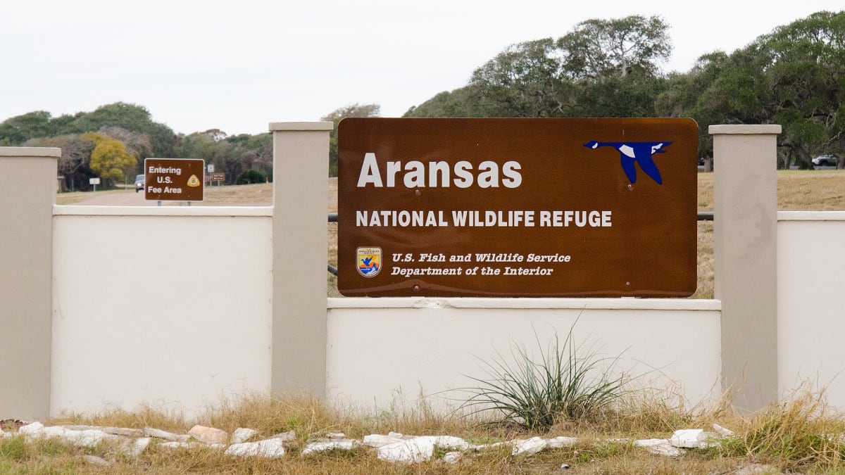 Aransas National Wildlife Refuge, Texas