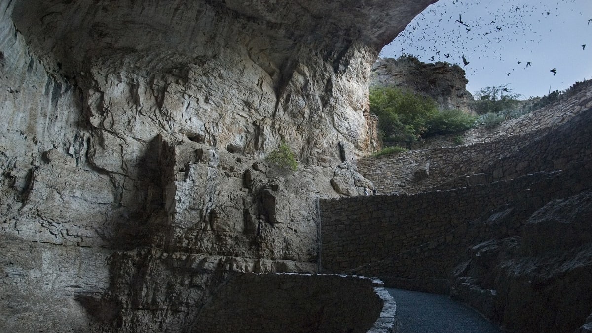 Bats spiraling out of the Natural Entrance at dusk during the bat flight, Carlsbad Caverns National Park, New Mexico