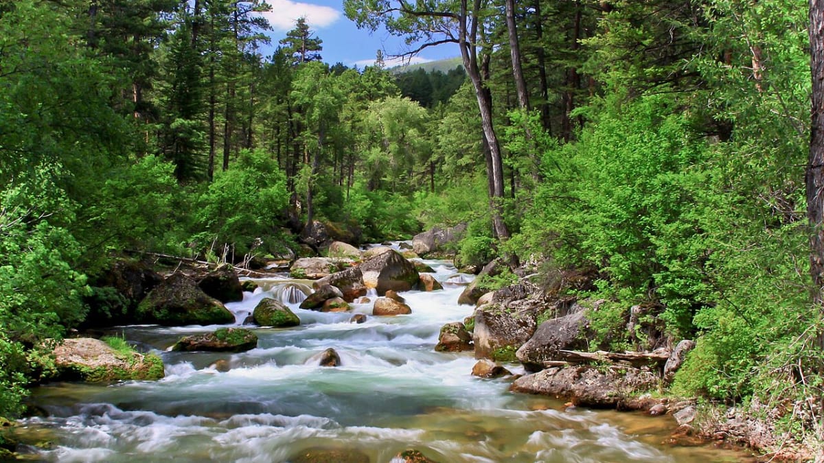 Bighorn National Forest