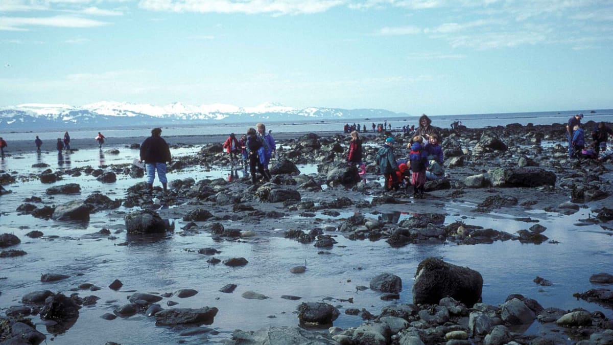 Bishop's Beach