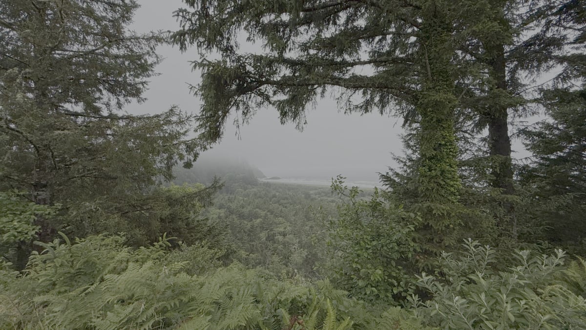 A misty forested overlook toward the ocean at Cape Disappointment State Park, Washington