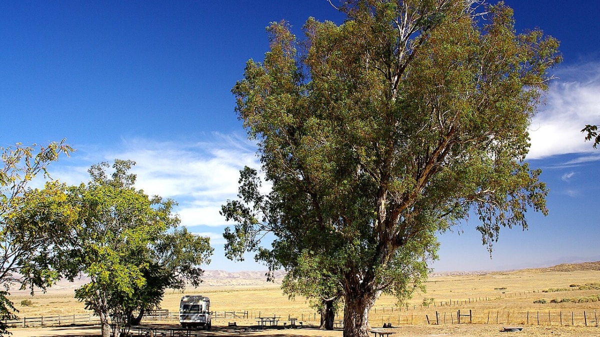 Carrizo Plain National Monument