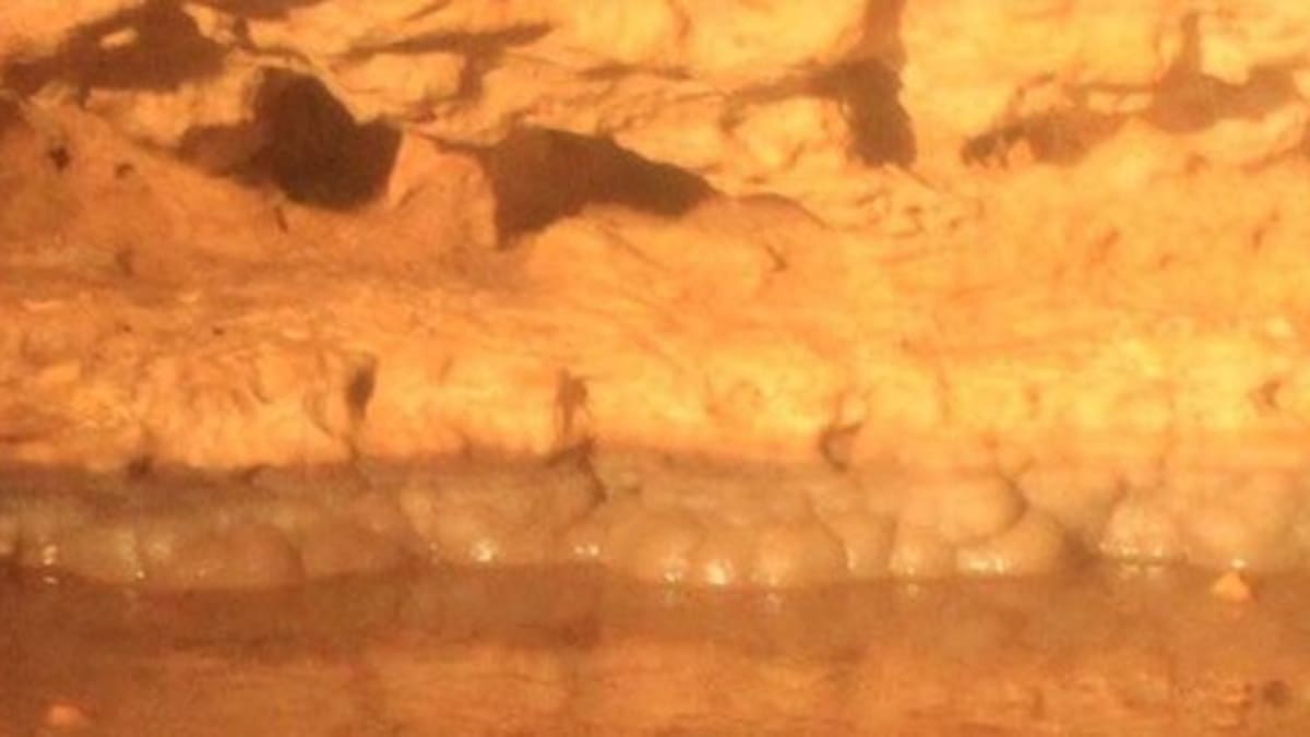 Cave of the Mounds, Wisconsin