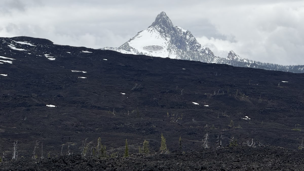 Black lava fields and snowy Mount Washington at McKenzie Pass, Oregon