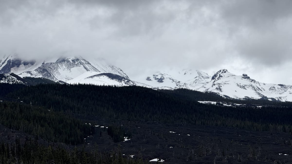 Snow-capped Cascade peaks seen from McKenzie Pass