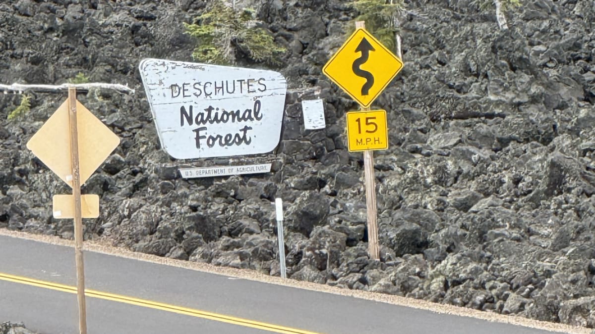 The McKenzie Pass highway winding through the black lava fields