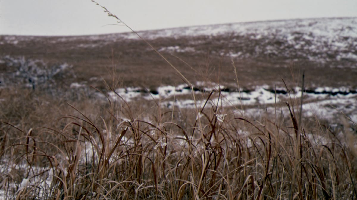 Tallgrass prairie of the Flint Hills, Kansas
