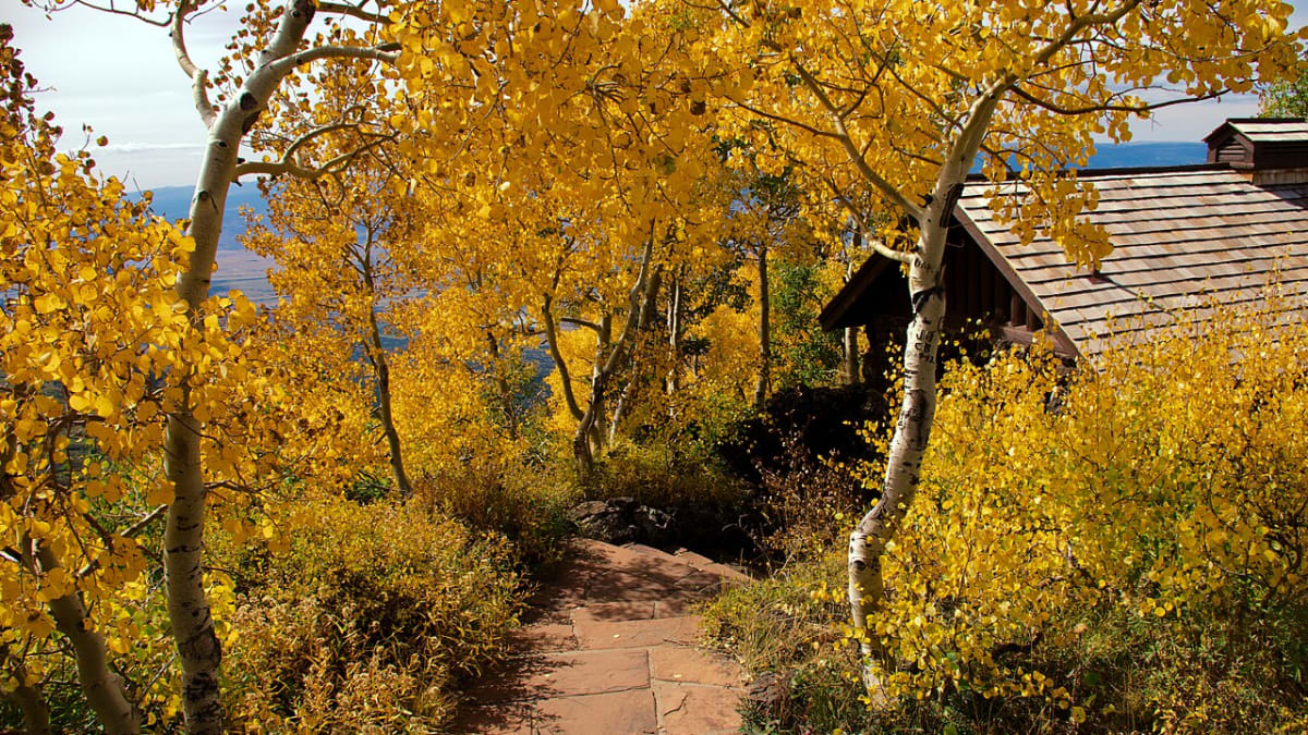 Grand Mesa, Colorado