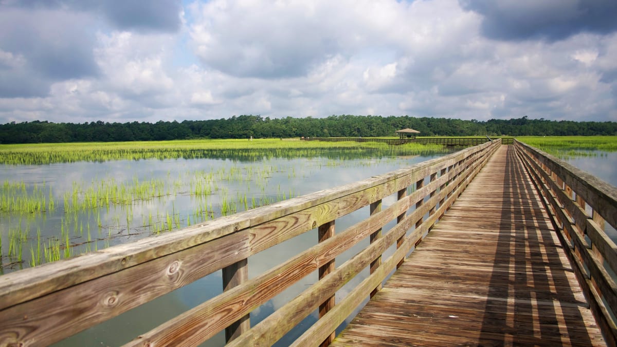 Huntington Beach State Park, Murrells Inlet, SC