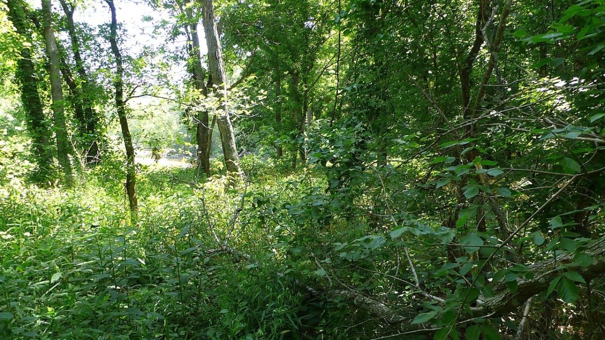 Maramec Spring Park