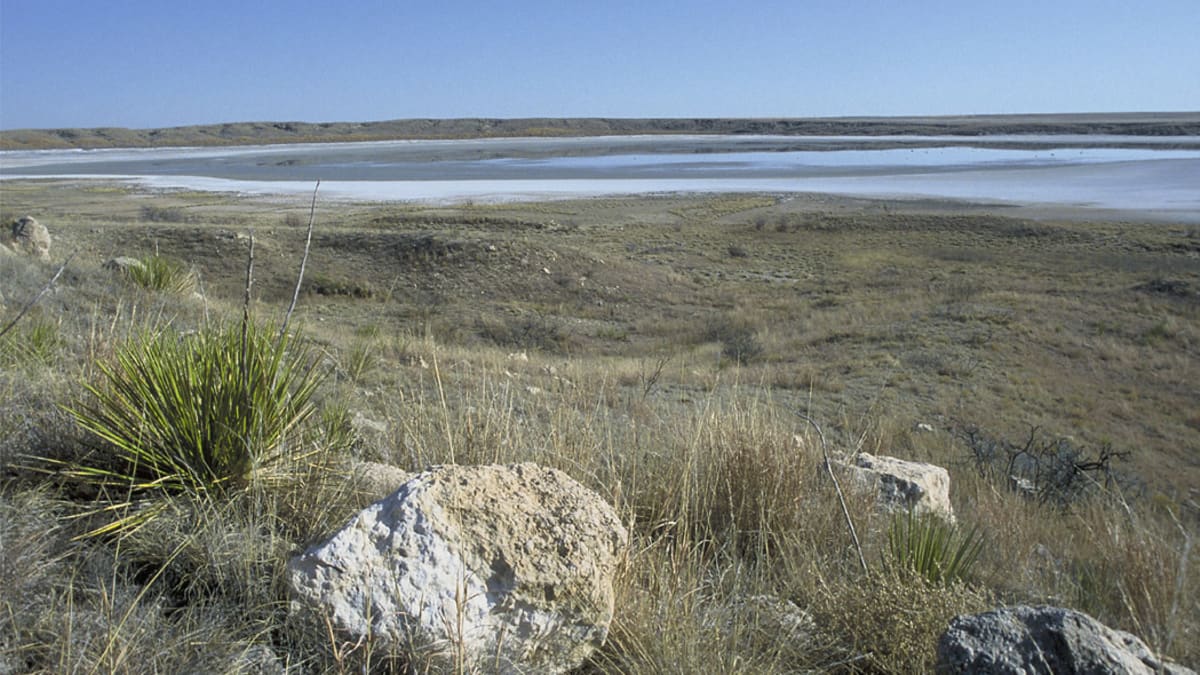 Muleshoe National Wildlife Refuge, Texas