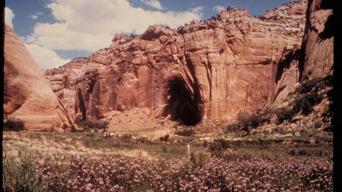 Navajo National Monument, Arizona