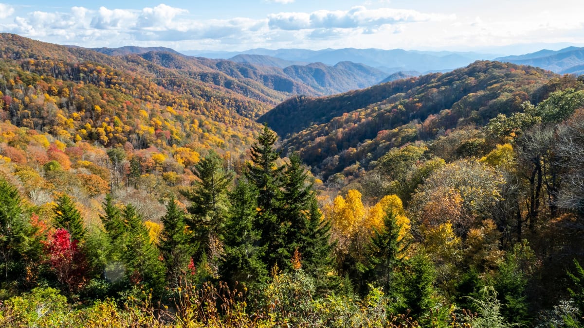 Newfound Gap Overlook, Great Smoky Mountains