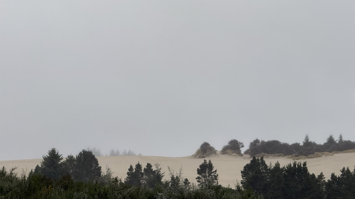 Sand dunes at the Oregon Dunes National Recreation Area near Florence