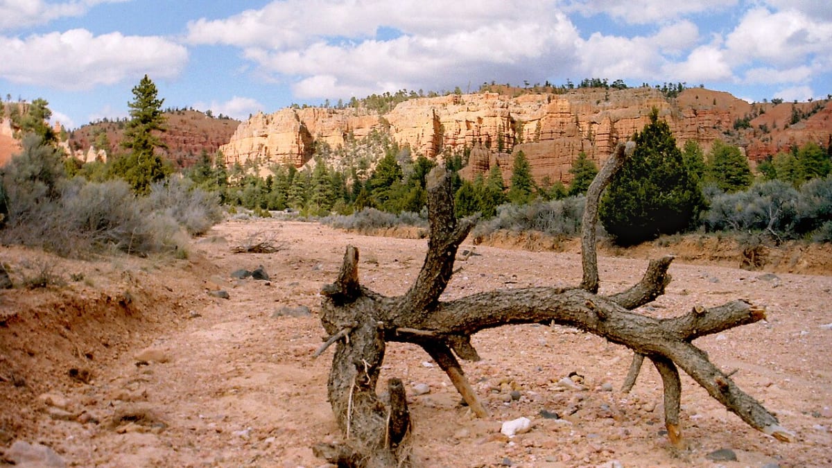 Red Canyon, Utah