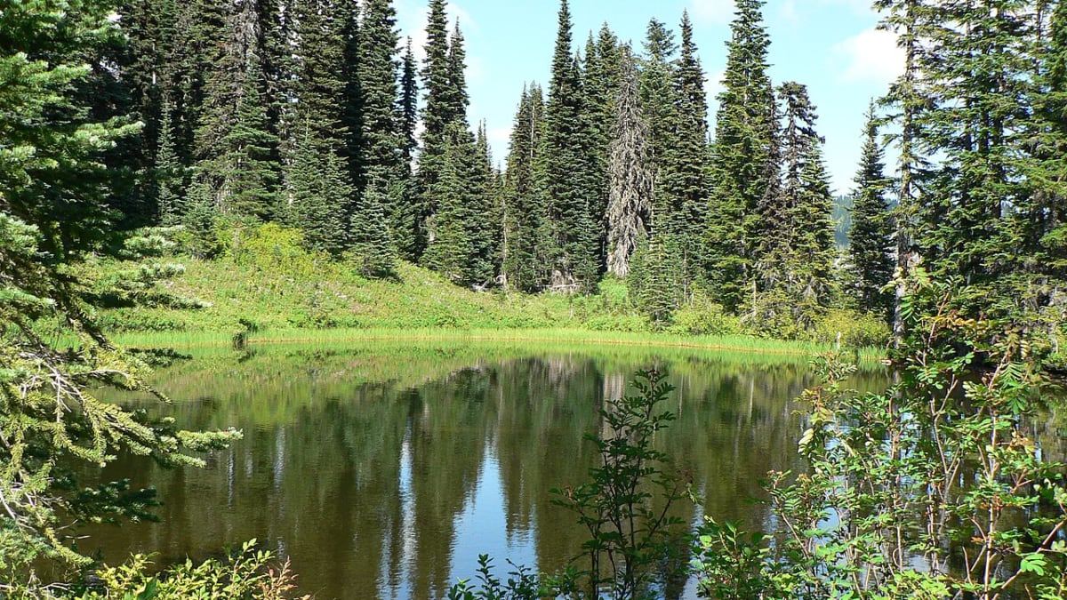 Mount Rainier reflected in the calm water of Reflection Lakes, Washington