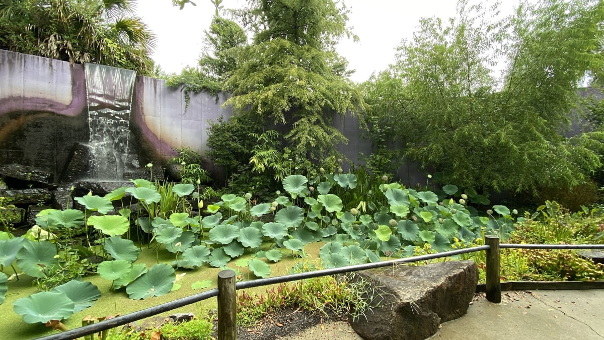 Riverbanks Zoo and Garden, South Carolina