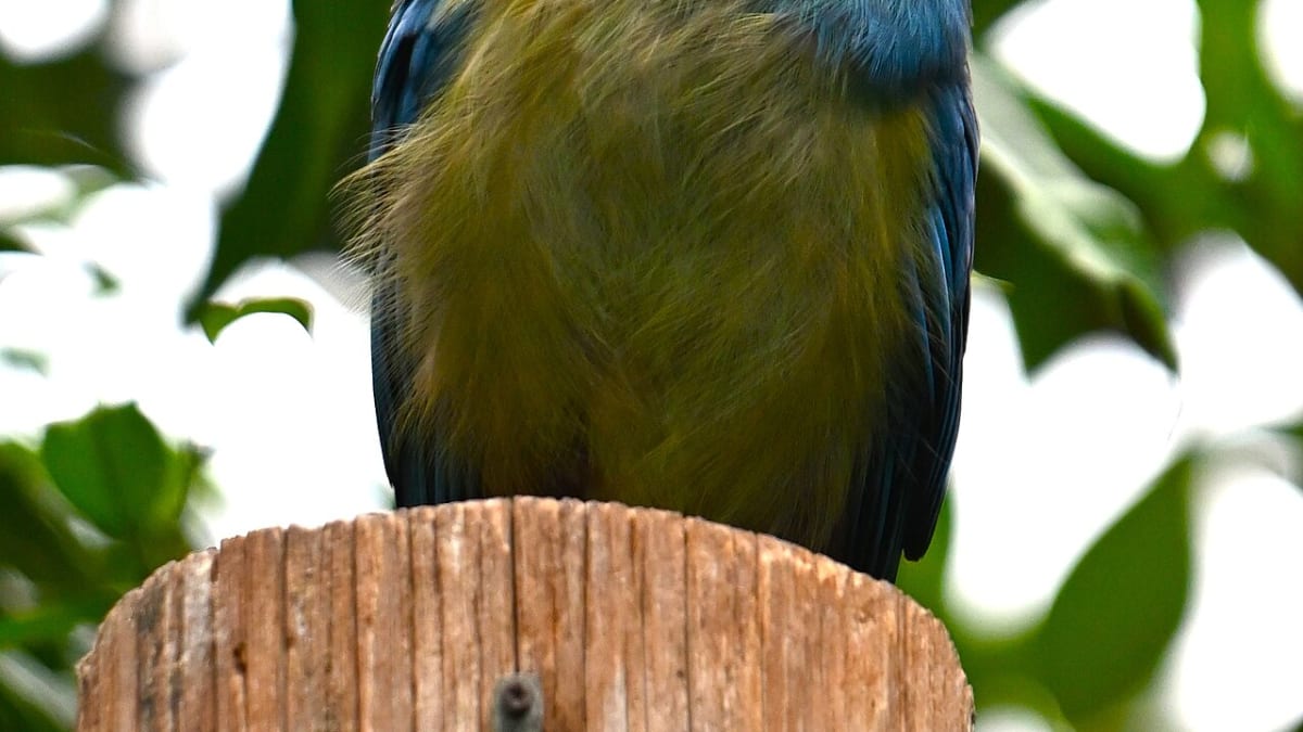 Sedgwick County Zoo, Kansas
