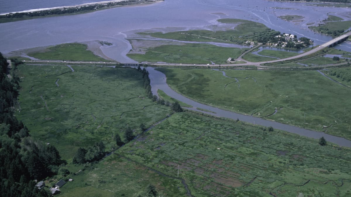Siletz Bay National Wildlife Refuge
