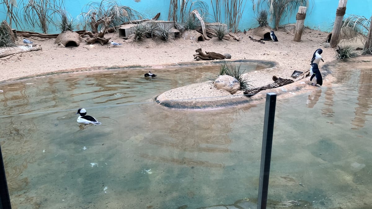 The Bronx Zoo, New York