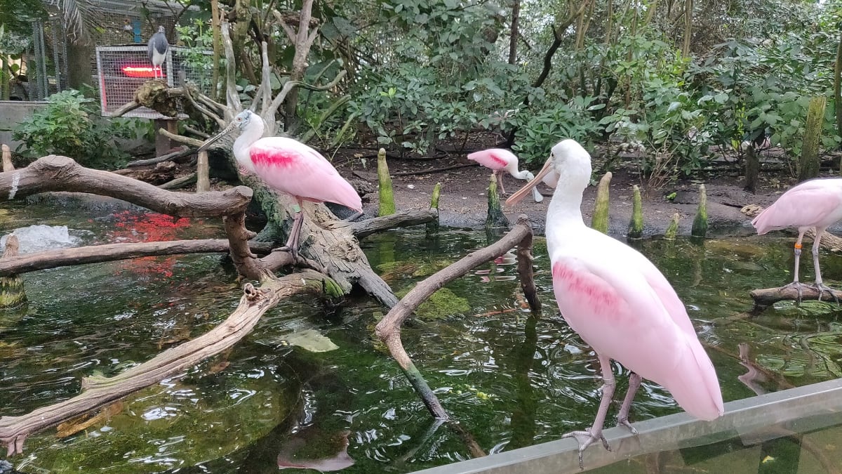The Florida Aquarium, Florida