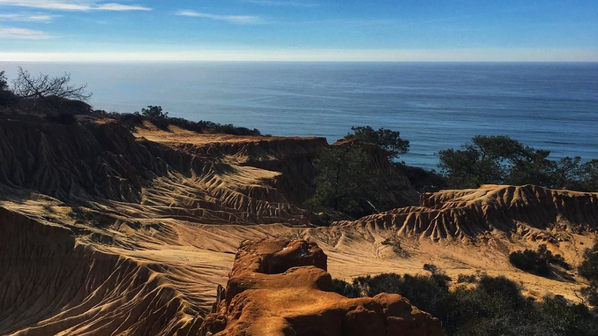 Torrey Pines State Reserve, California