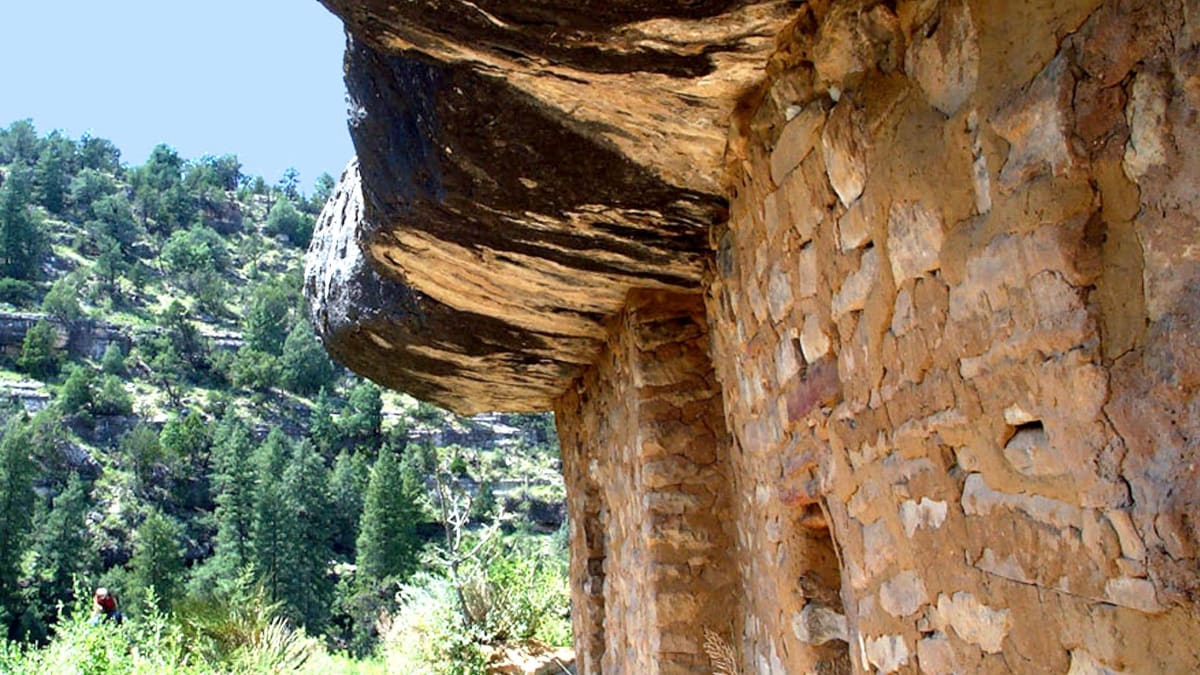 Ancient Sinagua cliff dwellings tucked beneath a limestone overhang at Walnut Canyon National Monument in Arizona