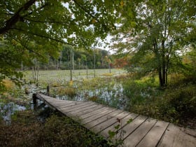 Calvert Cliffs State Park