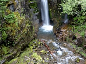 Christine Falls