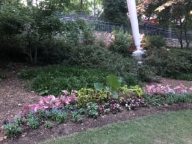 Falls Park on the Reedy