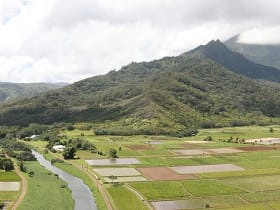 Hanalei Valley Lookout