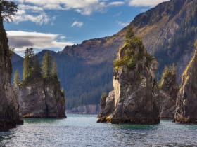Kenai Fjords National Park