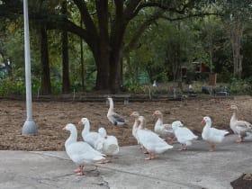 Louisiana Purchase Gardens and Zoo