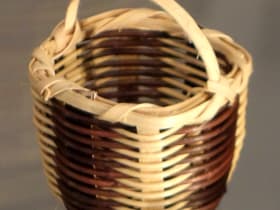 Museum of the Cherokee People