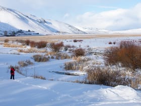 National Elk Refuge