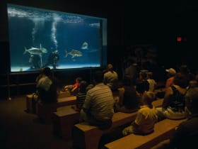Newport Aquarium