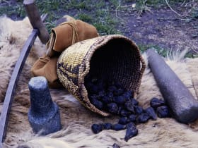 Nez Perce National Historical Park
