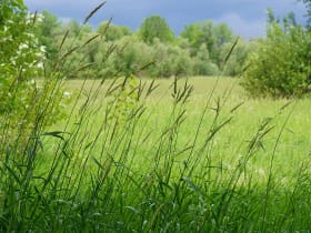 Ridgefield National Wildlife Refuge