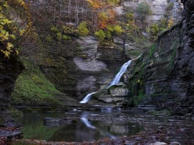 Robert H. Treman State Park
